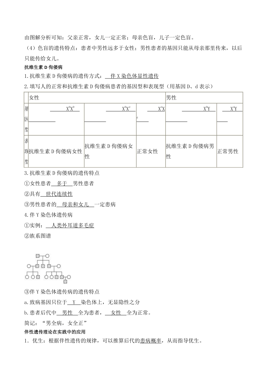 2.3伴性遗传学案