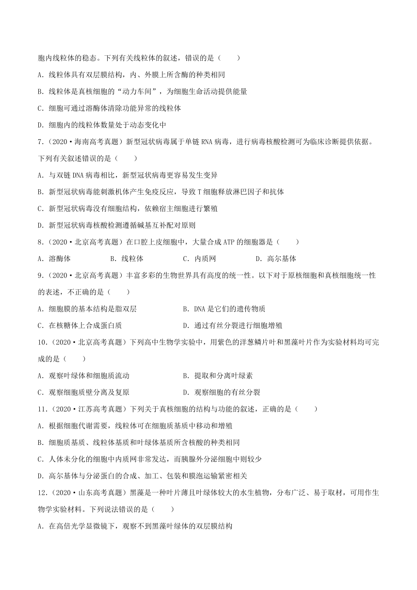 2022年高考生物三年高考真题及模拟题分类汇编：细胞的结构与功能  （Word版含解析）