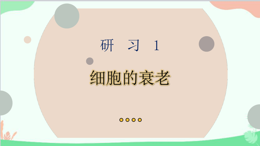 生物人教版(2019)必修1 第6章 细胞的生命历程 第3节细胞的衰老和死亡课件(共74张PPT)