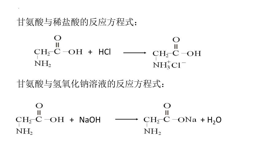 4.2蛋白质课件2021-2022学年高二下学期化学人教版（2019）选择性必修3（20张ppt）