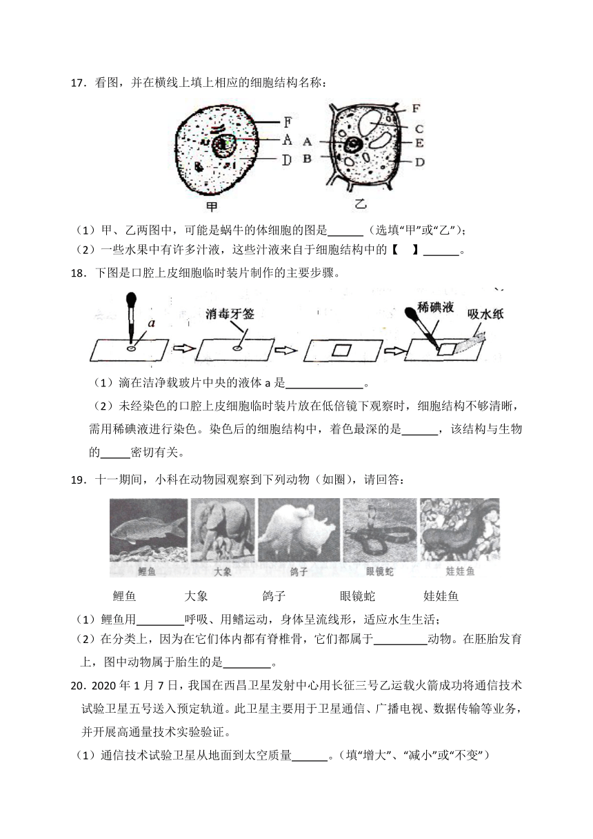 浙江省绍兴市柯桥区联盟校2020-2021学年七年级 1月独立作业 科学试题（Word版，含答案）