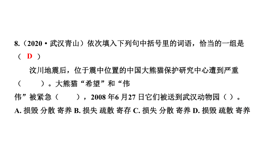 2021小升初语文专题复习：三词语课件（43张PPT)