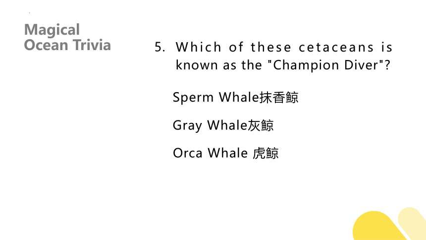 人教版（2019）选择性必修 第四册Unit 3 Sea Exploration Using Language Listening and Speaking 课件(共41张PPT)