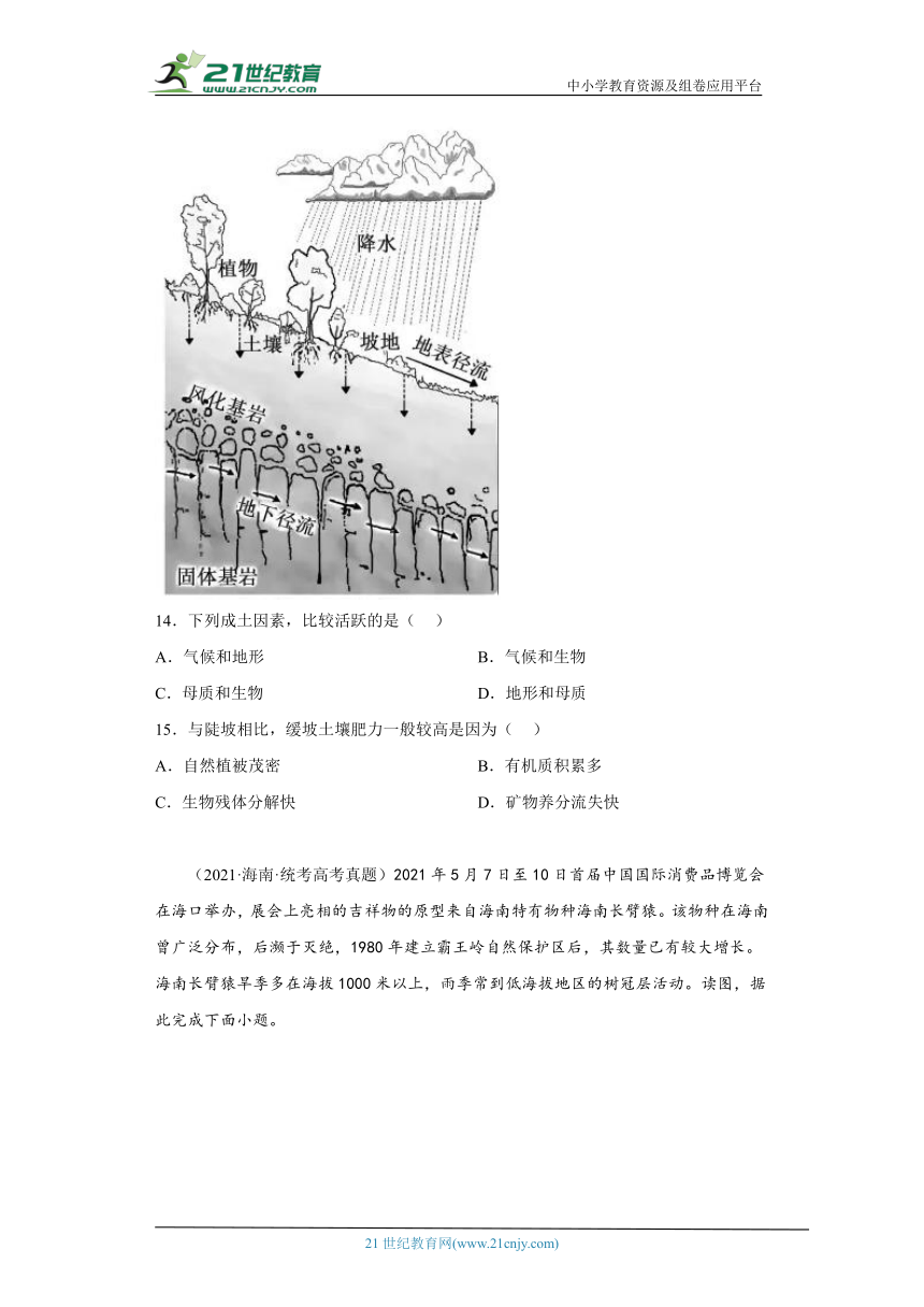 全国各地高考地理三年（2020-2022）真题分类汇编-22（自然地理）土壤、生物（含解析）