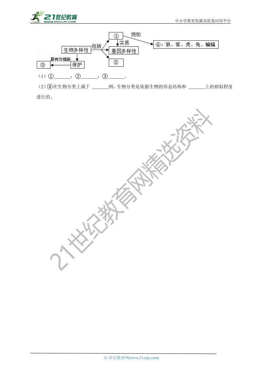 【备考2023】2022年中考生物真题分类汇编10——生物的分类部分（含解析）