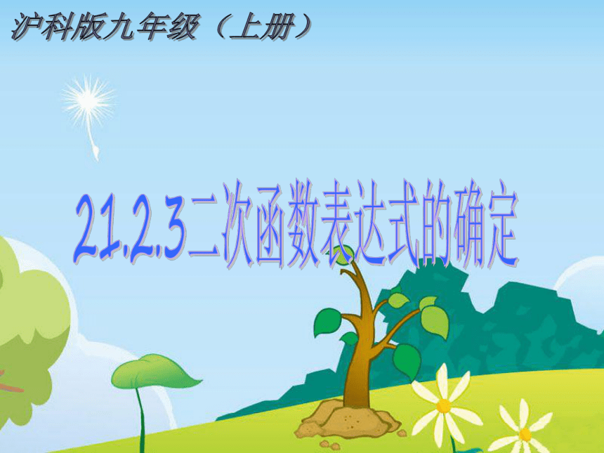 21.2.3二次函数表达式的确定 课件（共14张PPT）