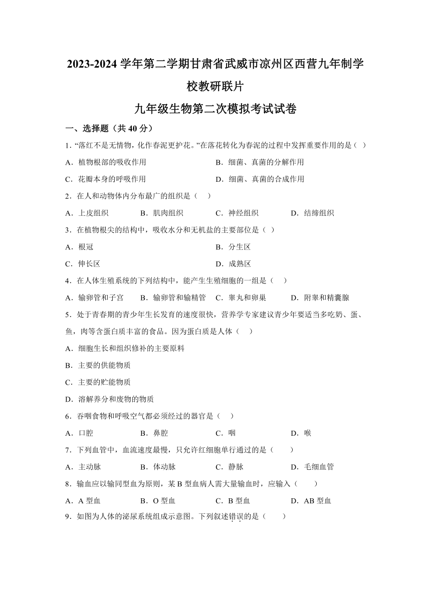 2024年甘肃省武威市凉州区西营镇九年制学校教研联片二模生物试题（含解析）