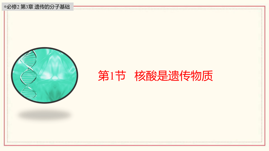 3.1 核酸是遗传物质（共39张PPT、含1份视频）高中生物 浙科版 必修二