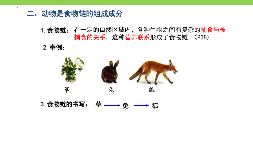 5.17.1动物在生物圈中的作用课件(共19张PPT)2022-2023学年北师大版生物八年级上册