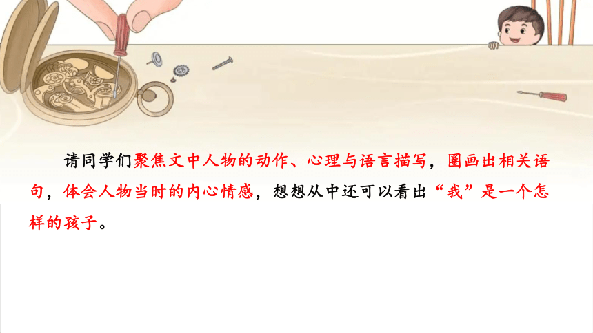 课文16 表里的生物（第二课时）课件(共31张PPT)