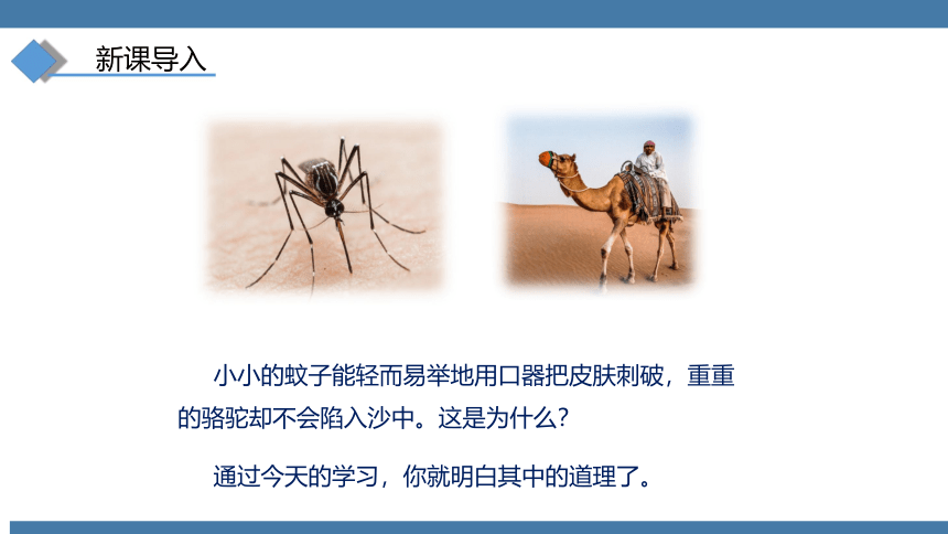 人教版八年级物理下册课件 (共28张PPT) 9.1 压强 第一课时