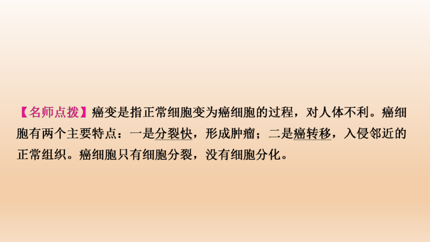 2023年人教版七年级生物上册复习专题★★第二章　细胞怎样构成生物体(共44张PPT)