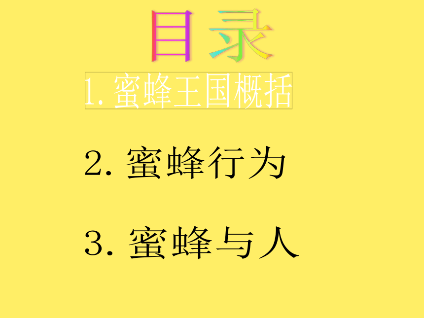 冀教版四年级下册信息技术 16.神秘的蜜蜂王国 课件（10ppt）