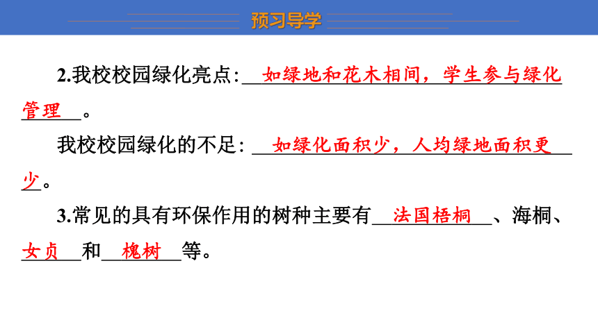 3.7.3 绿化，我们共同的行动   课件(共12张PPT) 2023-2024学年初中生物苏教版七年级上册