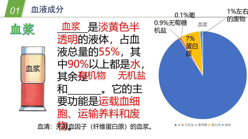 华师大版科学八年级上册 5.3人体内的物质运输（2 血液和血型）（课件 37张PPT）