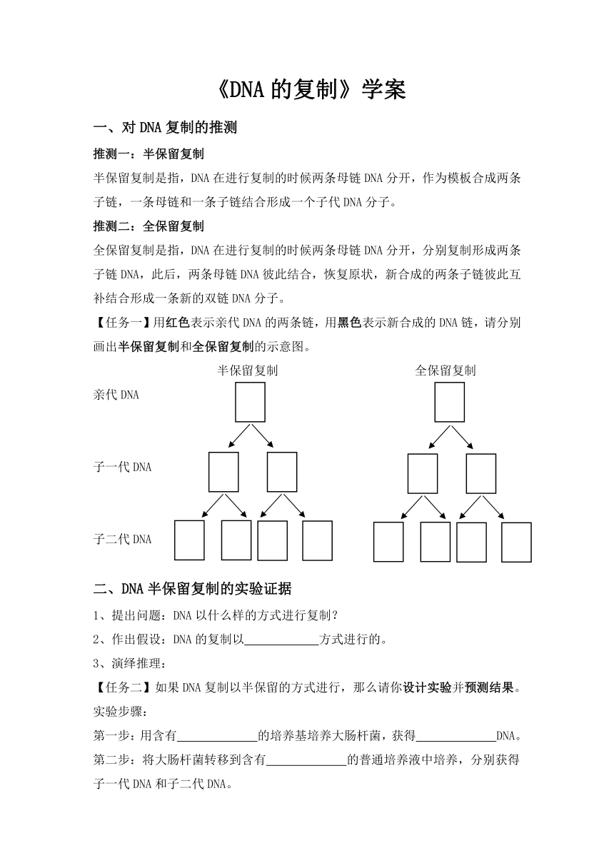 3.3DNA的复制  学案（无答案）2022-2023学年高一下学期生物人教版必修2