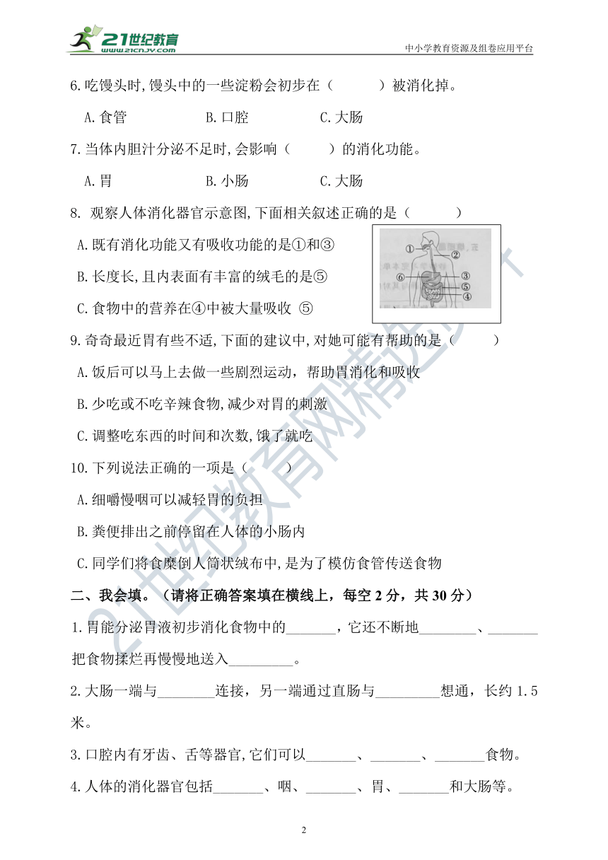 【新课标】新大象版科学四上第五单元测试卷（含答案）