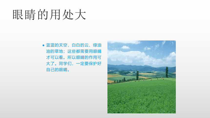 保护视力（课件）- 体育一年级上册(共13张PPT)