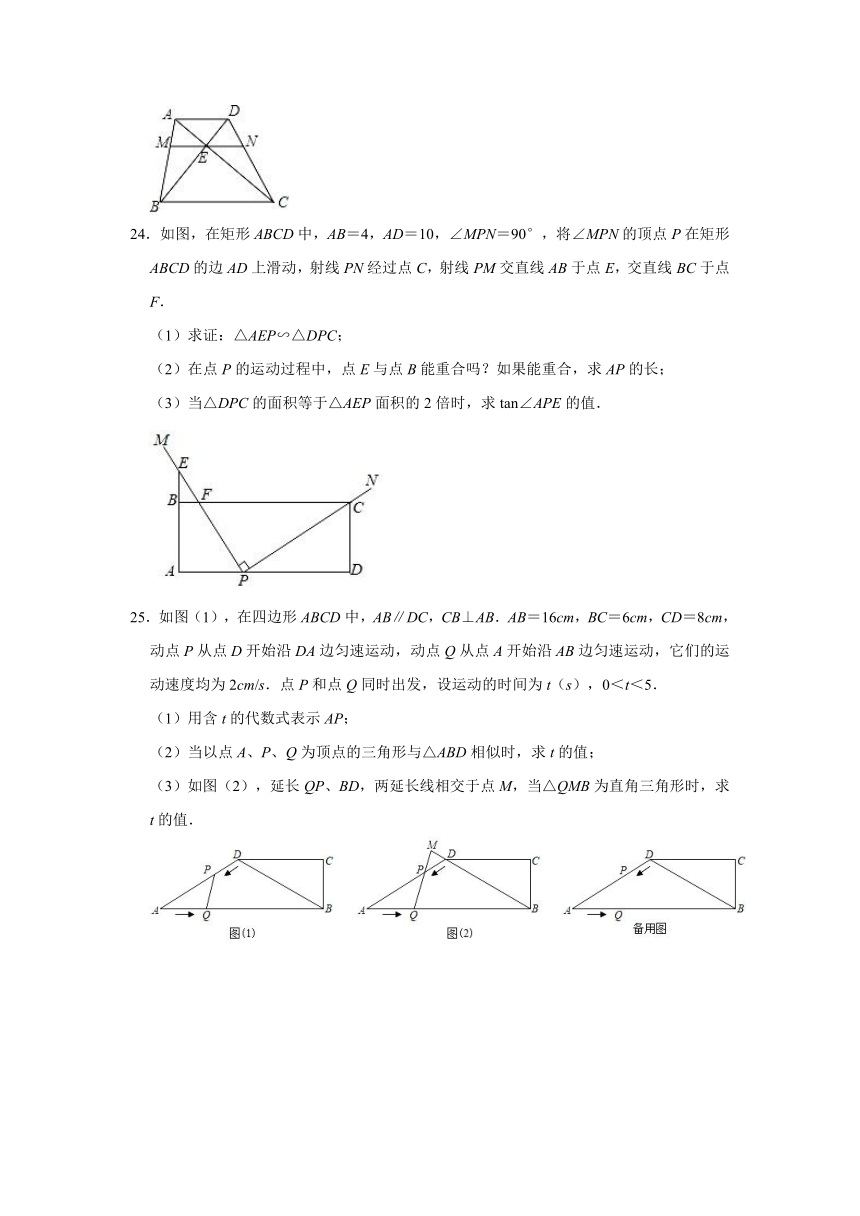 2021-2022学年上海市徐汇区南洋初级中学九年级（上）期中数学试卷（Word版含解析）