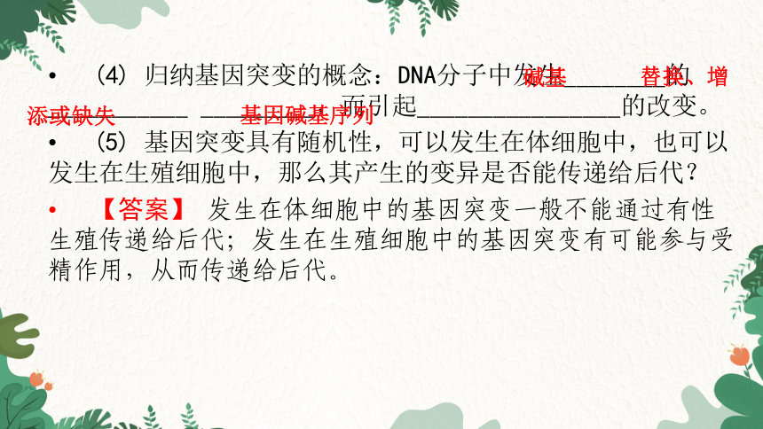 人教版（2019）高中生物必修2 第5章 第1节 基因突变和基因重组课件（共24张PPT）