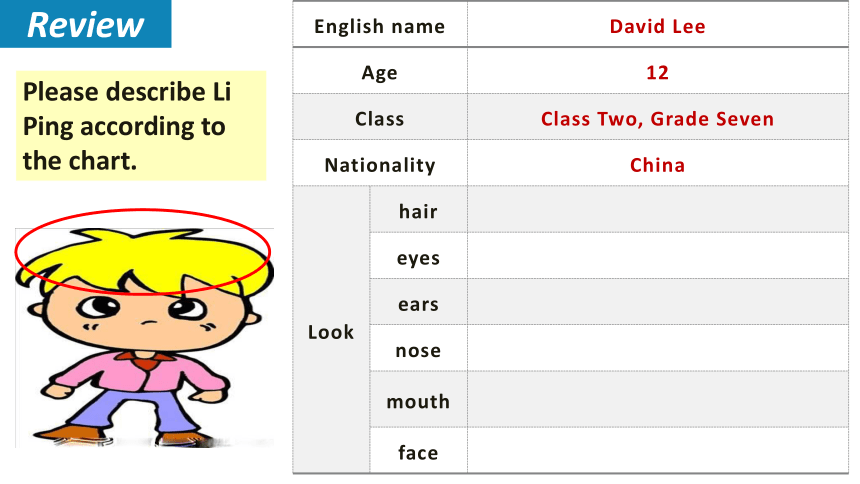 Unit 2 topic 2 What does she look like?Section A 课件(共31张PPT)