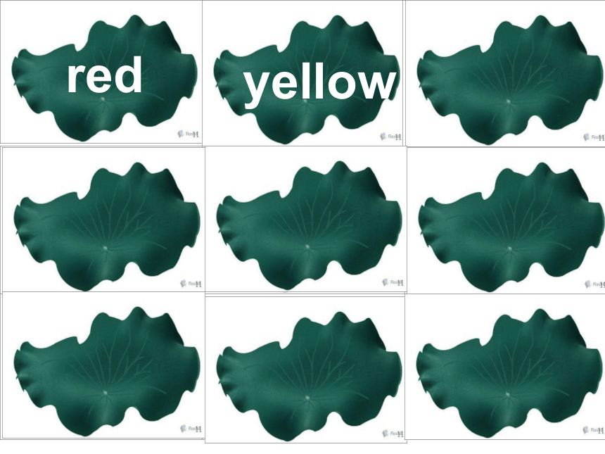 Unit 4 My Favourites-Lesson 19 My Favourite Colours课件（34张PPT）