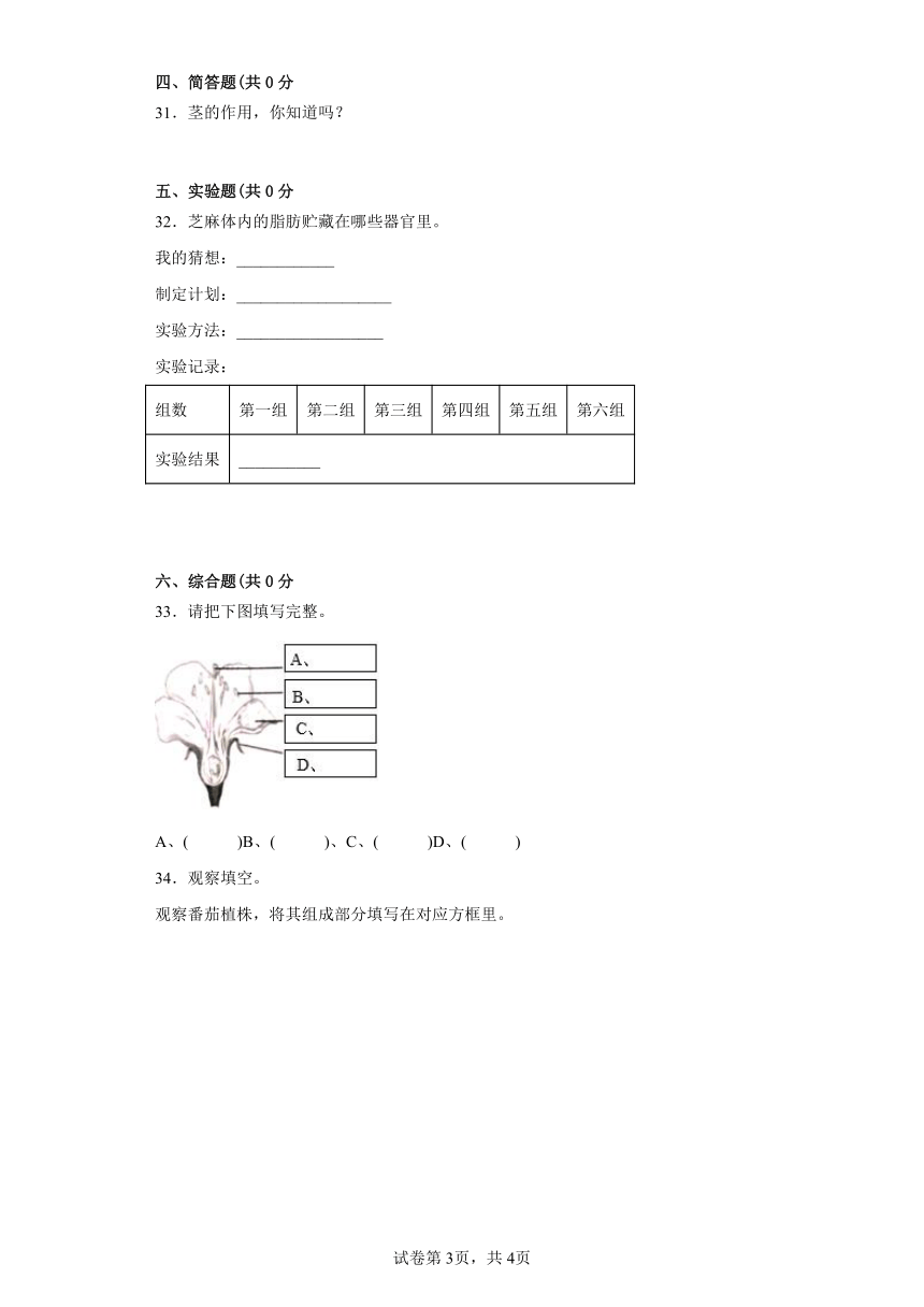 第三单元植物的“身体”期末复习卷三年级科学下册（粤教版2017）