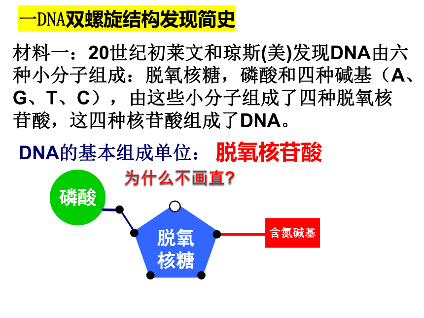 3.2DNA的分子结构和特点课件(共19张PPT)2020-2021学年高一下学期生物浙科版必修2