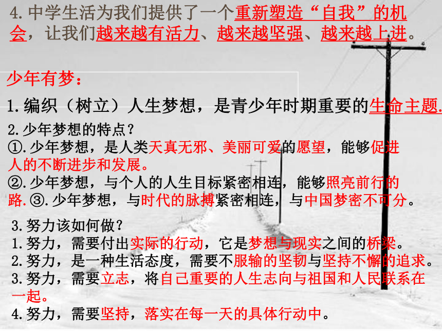 统编版道德与法治七年级上册期末总复习 课件（57张幻灯片）