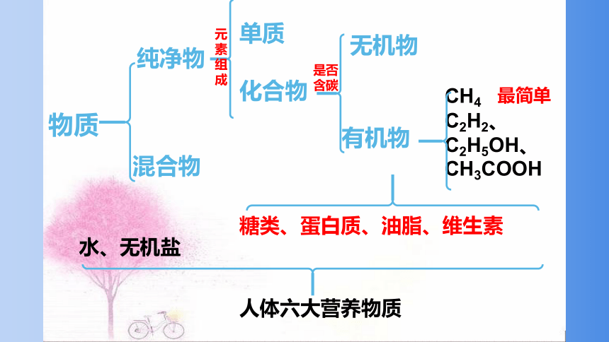 2020-2021学年鲁教版化学  九年级下册  10.1   食物中的有机物（30张PPT）