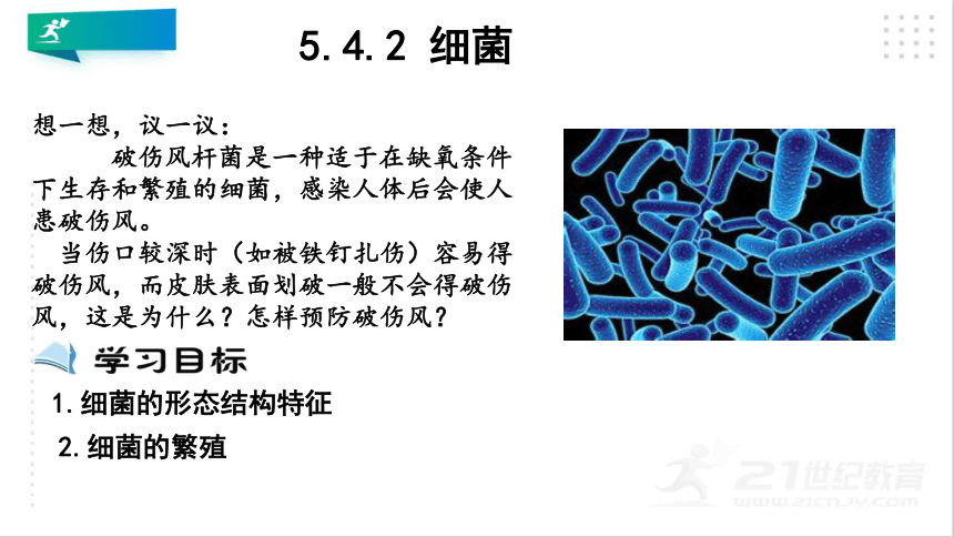 5.4.2 细菌（课件）-（共19张PPT）