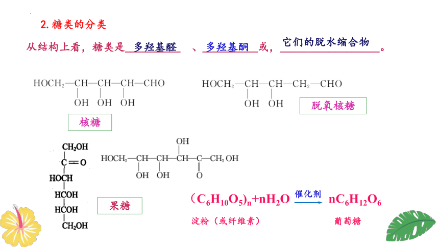 化学人教版（2019）选择性必修3 4.1糖类（共58张ppt）