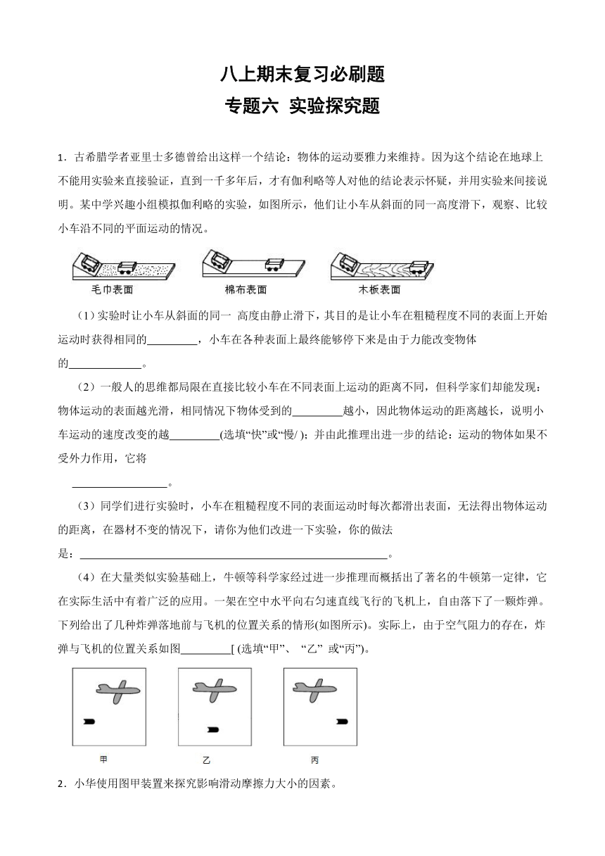 初中科学八年级上册华师大版期末复习必刷题 专题六 实验探究（含解析）