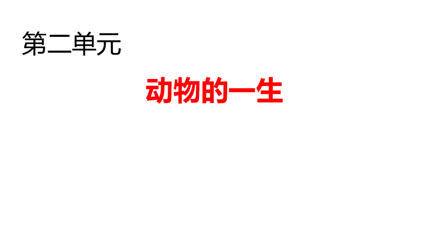 湘科版（2017秋） 四年级下册 第二单元 动物的一生 复习课件(共15张PPT)