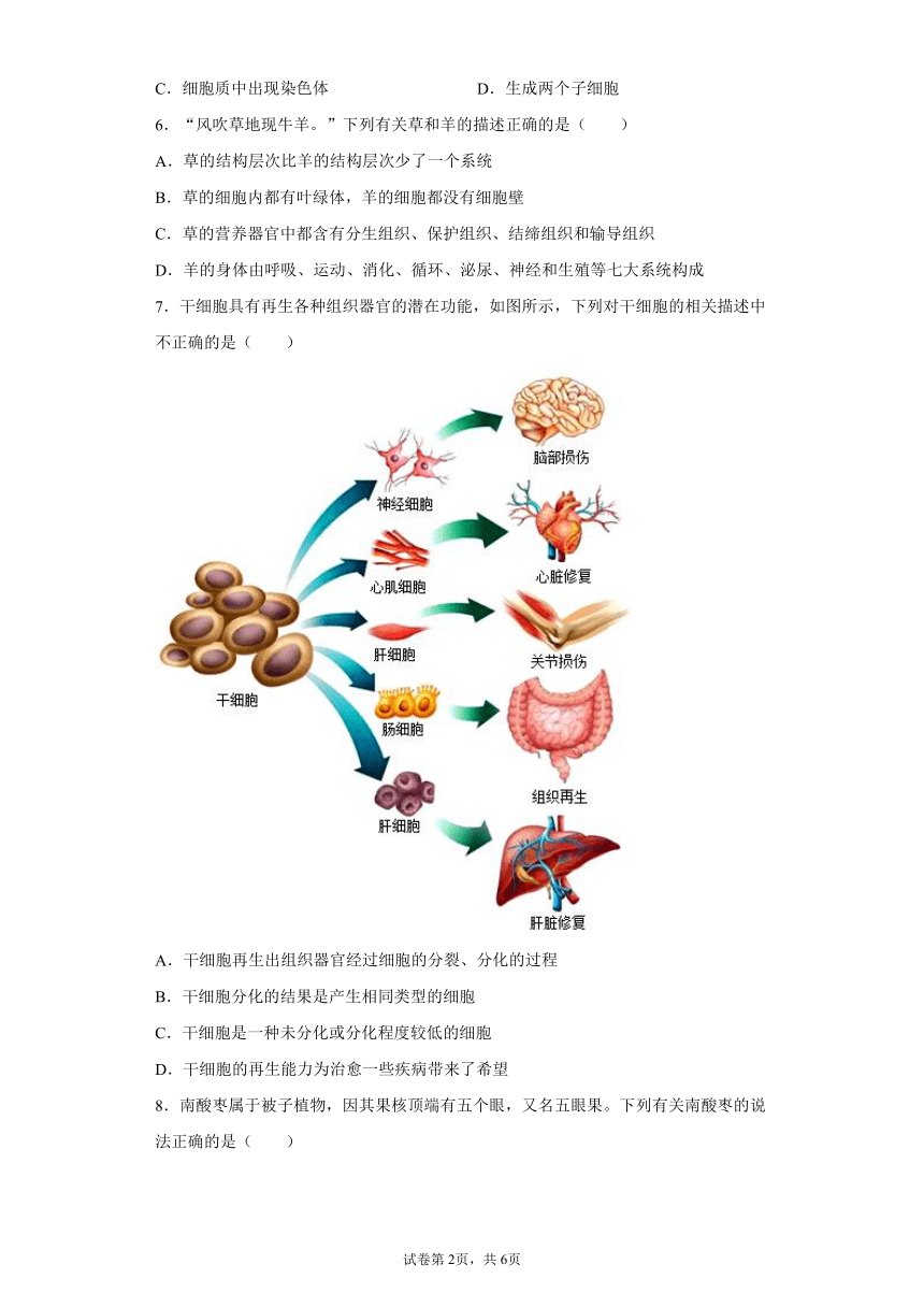 2.3生物体的结构层次 过关练习（含解析）