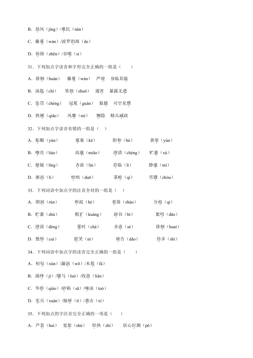 2023年小升初语文高频考点100题专题01：字音（有解析）