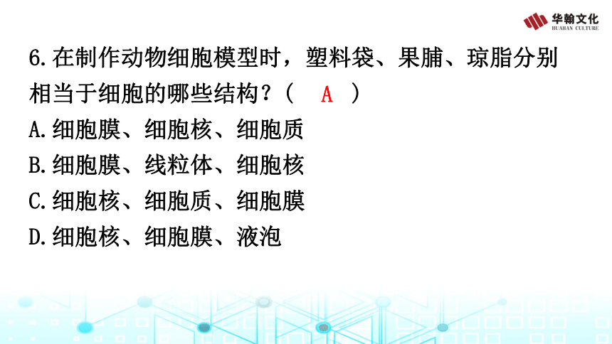 2023年中考生物复习  主题七  生物学与社会·跨学科实践习题课件(共20张PPT)