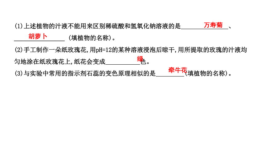 九年级化学下册第10单元 实验活动7 溶液酸碱性的检验课件 人教版(共19张PPT)