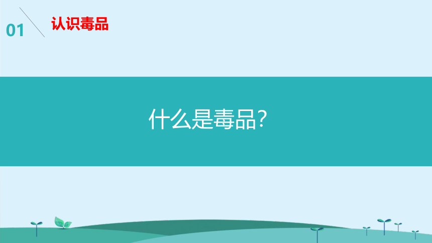 中小学生主题班会课件---珍爱生命远离毒品（29ppt）