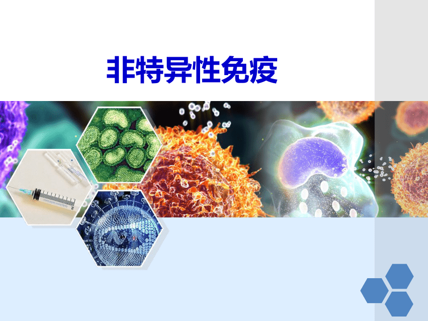 冀教版七年级下册生物 6.1 免疫 课件（25张PPT）
