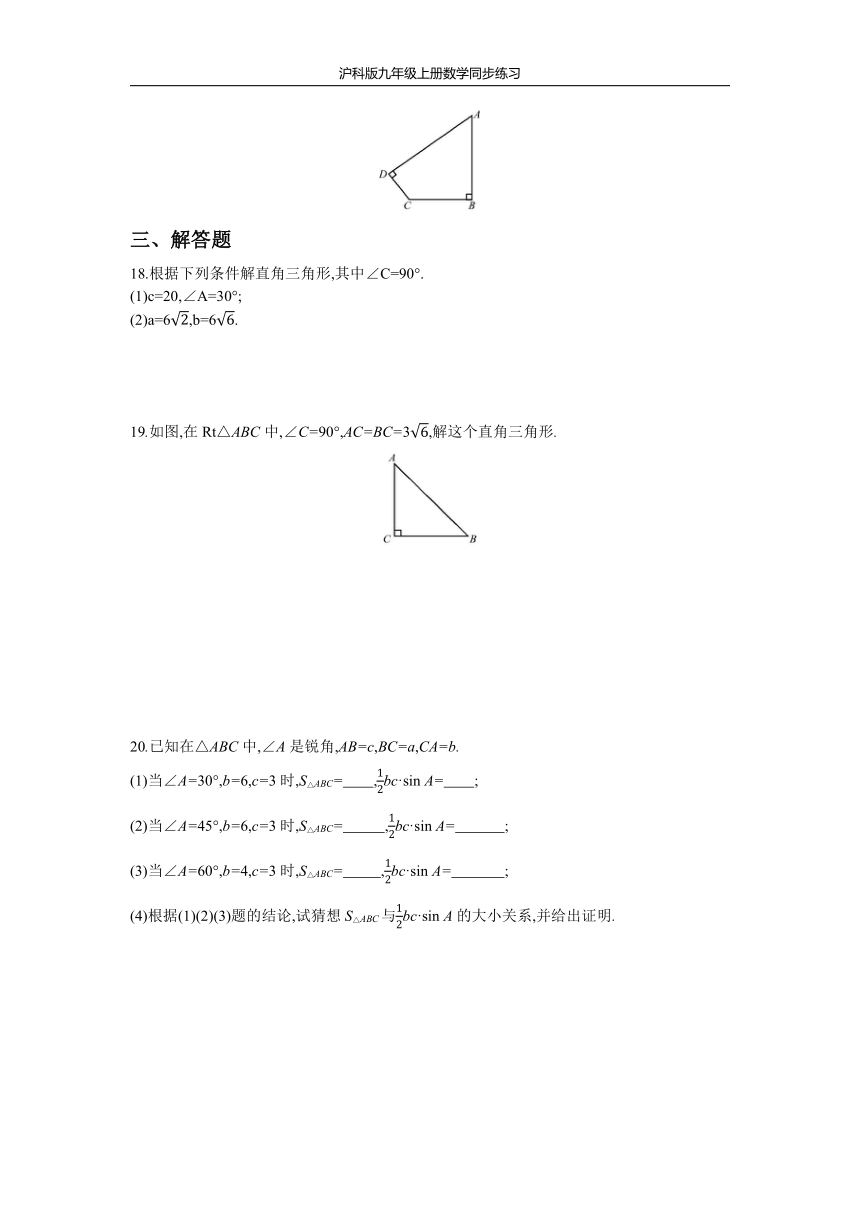 沪科版九年级上册数学同步练习 23.2  第1课时  解直角三角形（Word版 含答案）