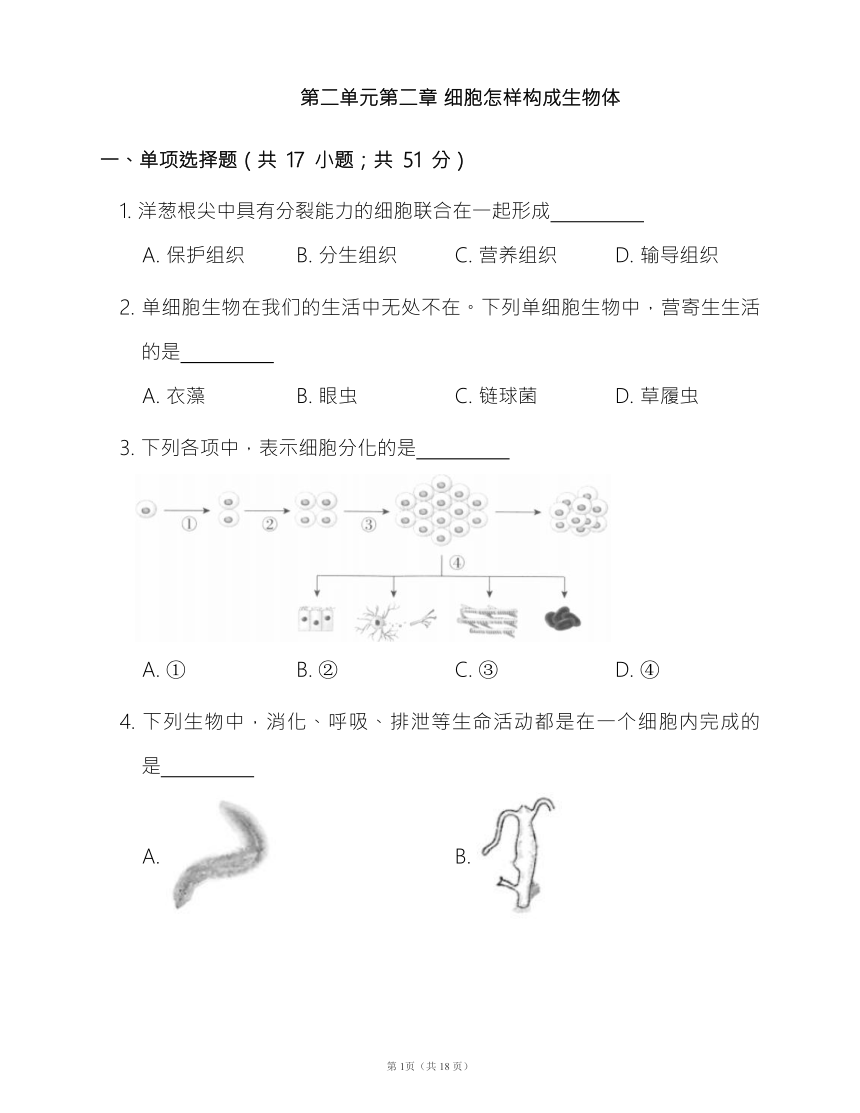 人教版七年级生物上册第二单元第二章 细胞怎样构成生物体同步检测卷（word版含部分解析）