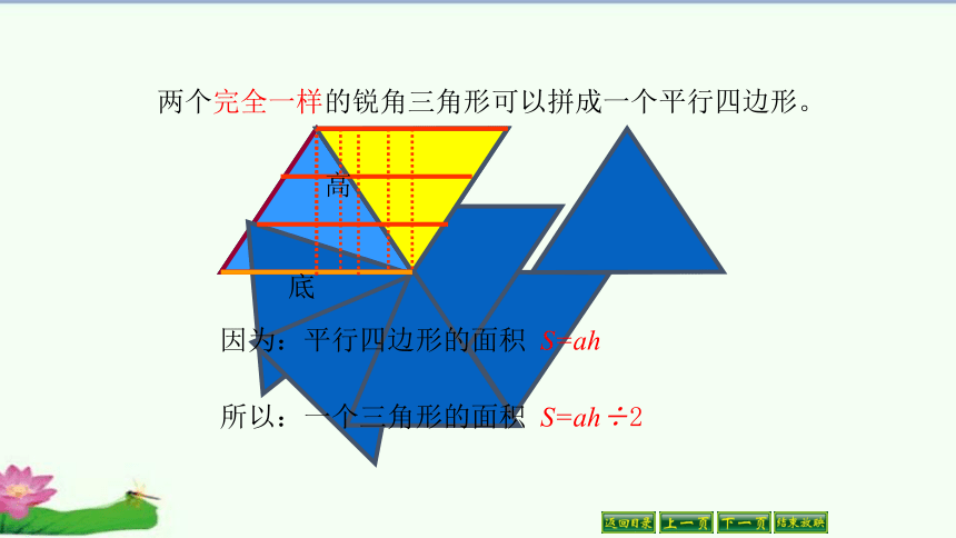 梯形的面积（课件）人教版五年级上册数学（共24张ppt）