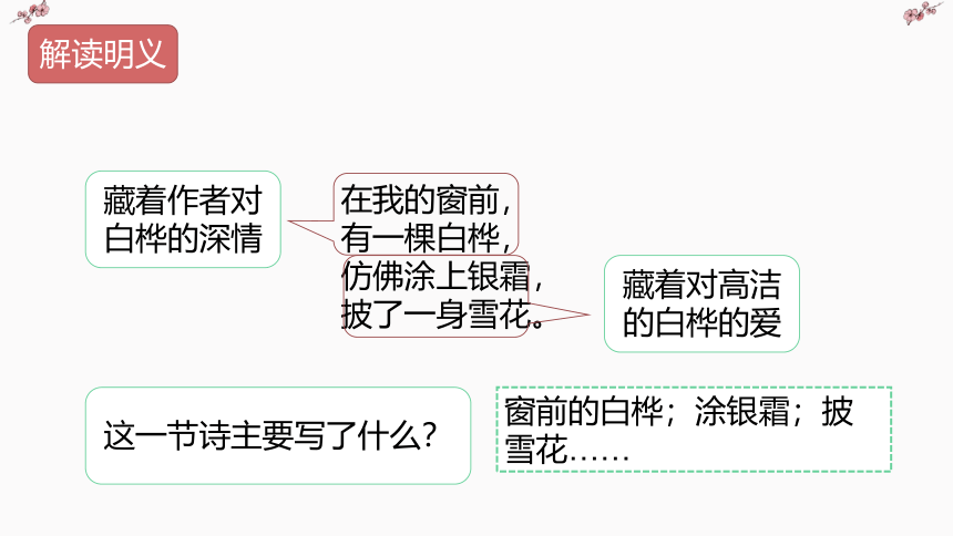 11.白桦 第二课时（课件）（共34张ppt）