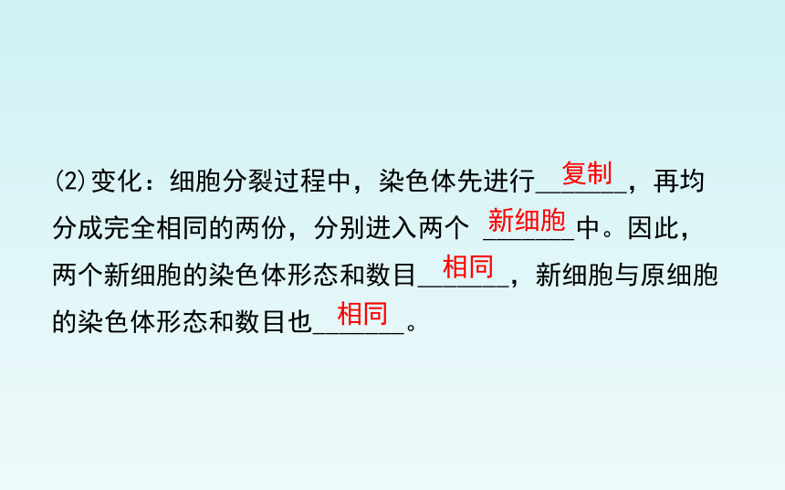 人教版七年级生物上册第二单元_第二章 细胞怎样构成生物体 复习课件（共27张PPT）