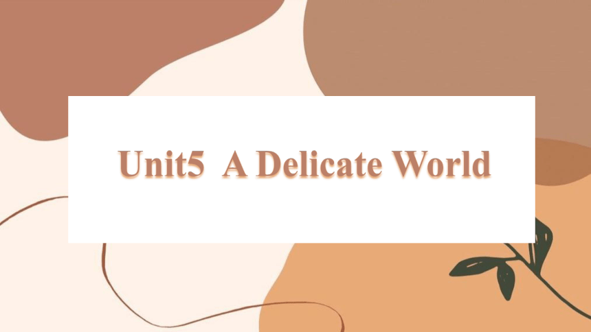 外研版（2019）选择性必修第二册  Unit 5 A delicate World Understanding ideas课件（17张ppt)
