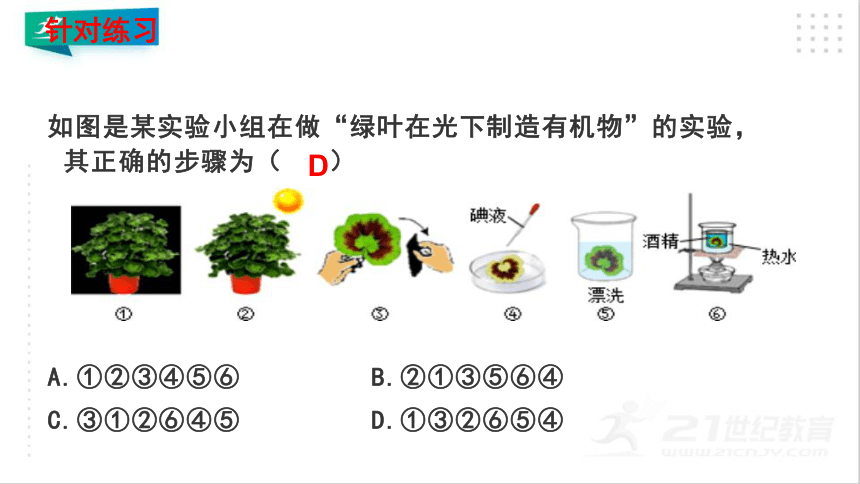 3.4 绿色植物是生物圈中有机物的制造者 课件（共19张PPT）