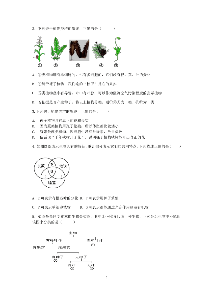 浙教版科学2022-2023学年上学期七年级“冲刺重高”讲义（十三）：常见的植物（2）【word，含答案】