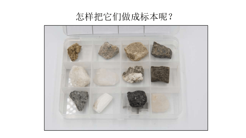 科学四年级下册教科版《制作岩石和矿物标本》课件(共13张PPT)