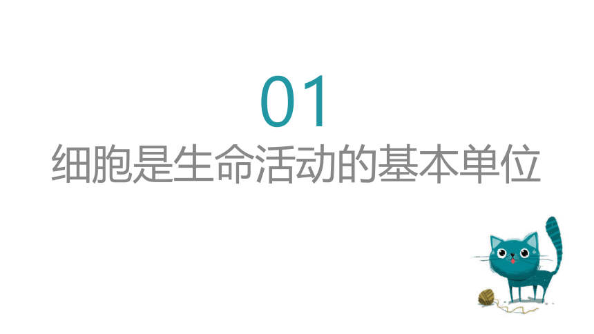 初中生物 会考复习 第二单元 生物体的结构层次（27张PPT）